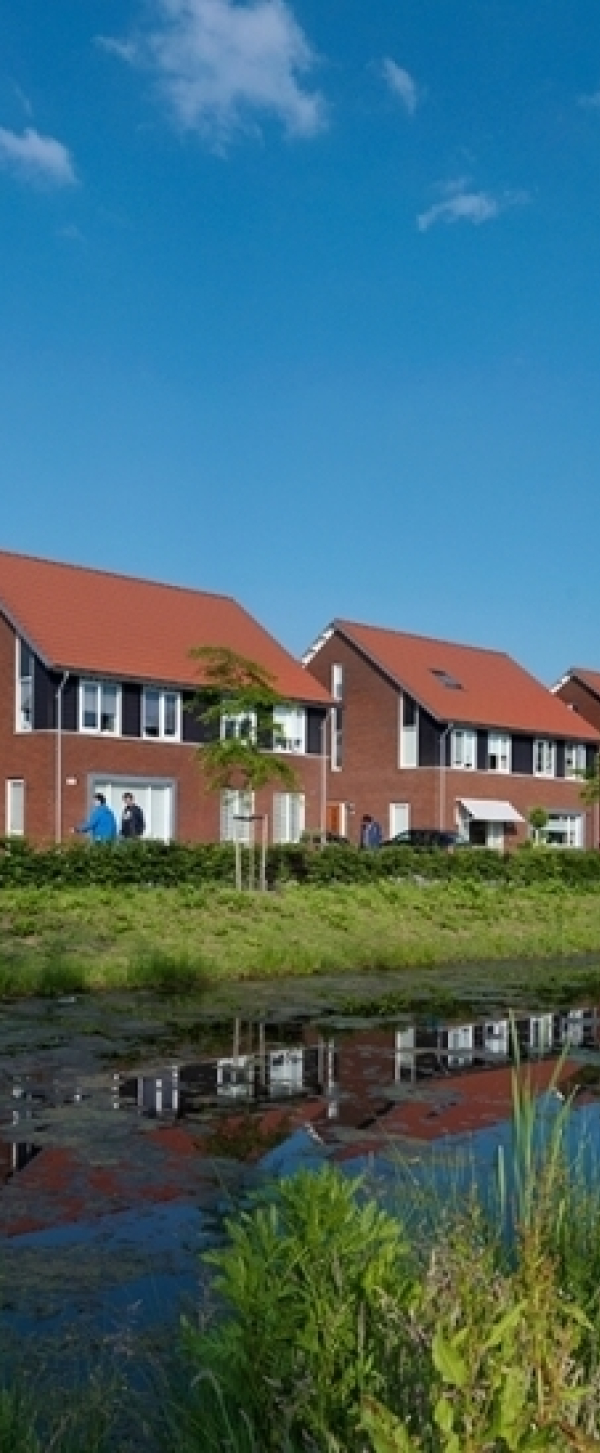 Suyderwijk 3.jpg